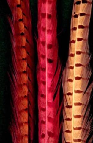 Cascade Crest Pheasant Tails